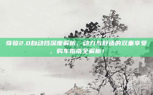 奇骏2.0自动挡深度解析，动力与舒适的双重享受，购车指南全解析！
