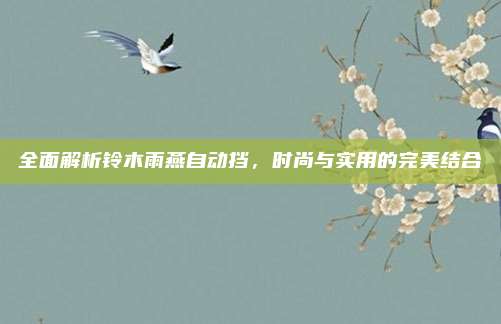 全面解析铃木雨燕自动挡，时尚与实用的完美结合