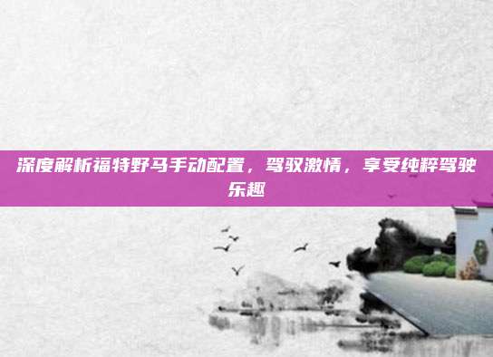 深度解析福特野马手动配置，驾驭激情，享受纯粹驾驶乐趣