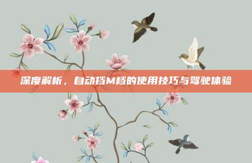 深度解析，自动挡M档的使用技巧与驾驶体验