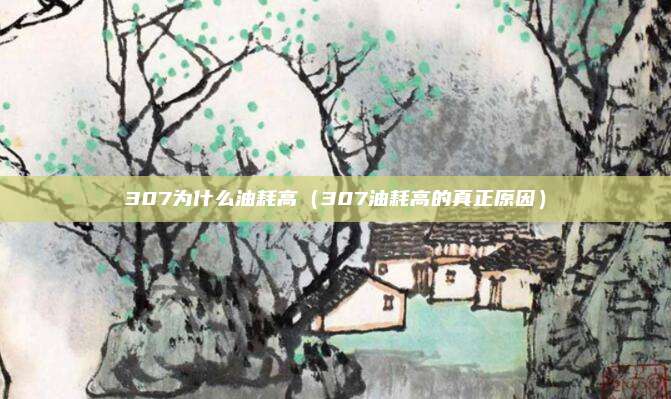 307为什么油耗高（307油耗高的真正原因）