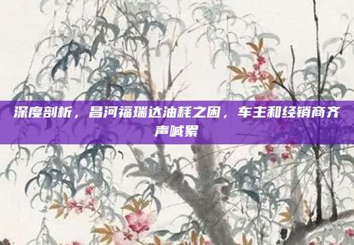 深度剖析，昌河福瑞达油耗之困，车主和经销商齐声喊累