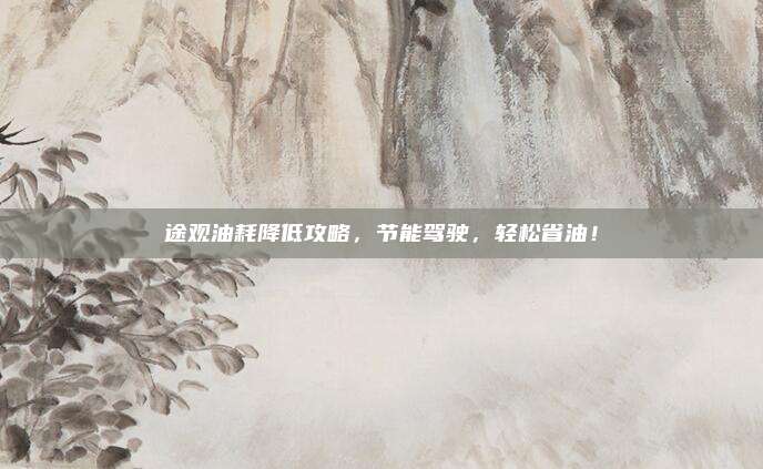 途观油耗降低攻略，节能驾驶，轻松省油！