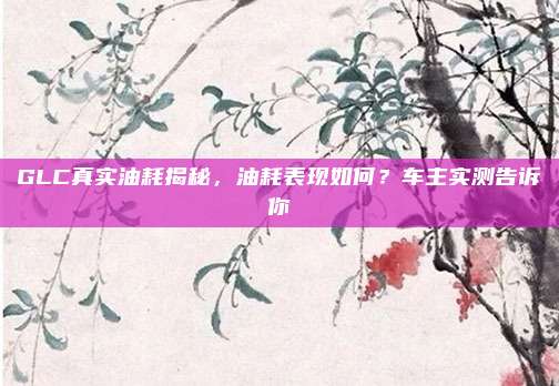 GLC真实油耗揭秘，油耗表现如何？车主实测告诉你