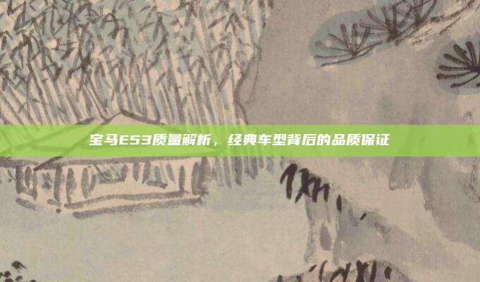 宝马E53质量解析，经典车型背后的品质保证