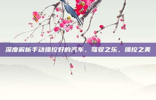 深度解析手动操控好的汽车，驾驭之乐，操控之美