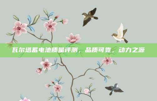 瓦尔塔蓄电池质量评测，品质可靠，动力之源