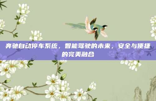 奔驰自动停车系统，智能驾驶的未来，安全与便捷的完美融合