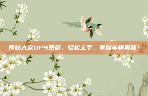 揭秘大众OPS系统，轻松上手，掌握车辆奥秘！