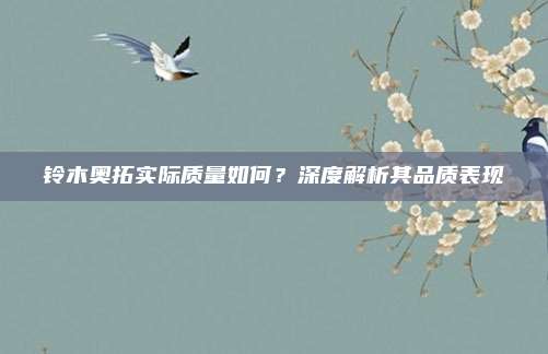 铃木奥拓实际质量如何？深度解析其品质表现