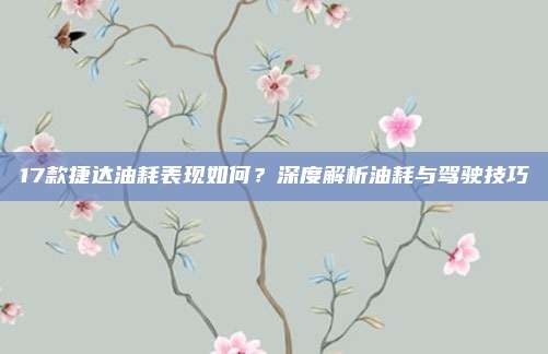 17款捷达油耗表现如何？深度解析油耗与驾驶技巧
