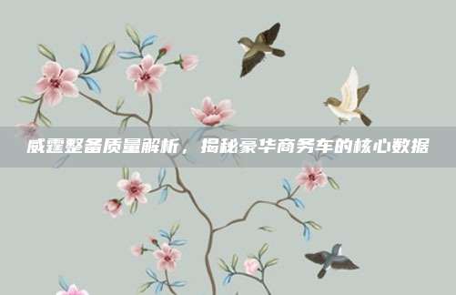 威霆整备质量解析，揭秘豪华商务车的核心数据
