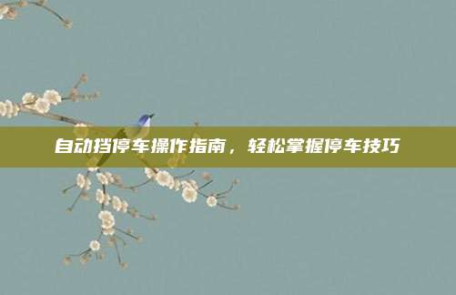 自动挡停车操作指南，轻松掌握停车技巧