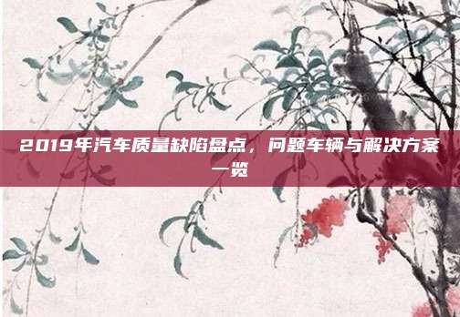 2019年汽车质量缺陷盘点，问题车辆与解决方案一览
