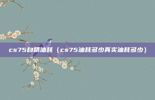 cs75自精油耗（cs75油耗多少真实油耗多少）