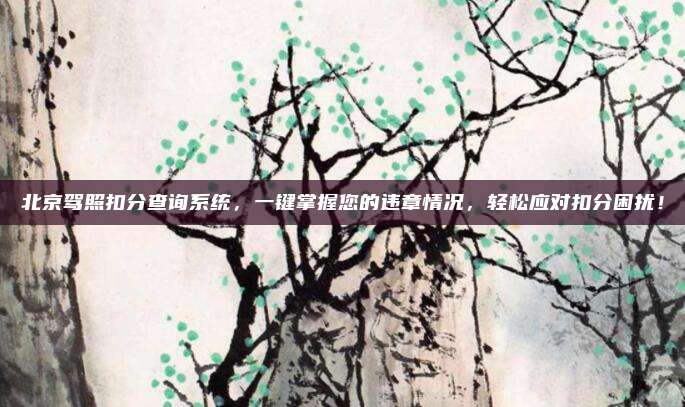 北京驾照扣分查询系统，一键掌握您的违章情况，轻松应对扣分困扰！
