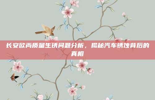 长安欧尚质量生锈问题分析，揭秘汽车锈蚀背后的真相