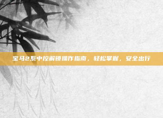 宝马2系中控解锁操作指南，轻松掌握，安全出行