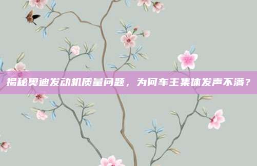 揭秘奥迪发动机质量问题，为何车主集体发声不满？