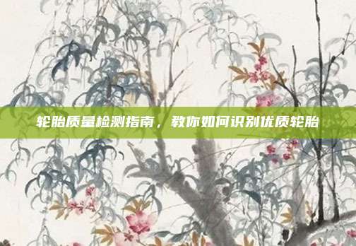 轮胎质量检测指南，教你如何识别优质轮胎