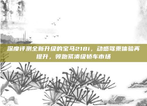 深度评测全新升级的宝马218i，动感驾乘体验再提升，领跑紧凑级轿车市场