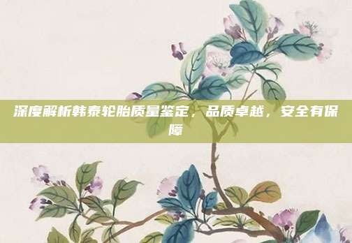 深度解析韩泰轮胎质量鉴定,品质卓越,安全有保障