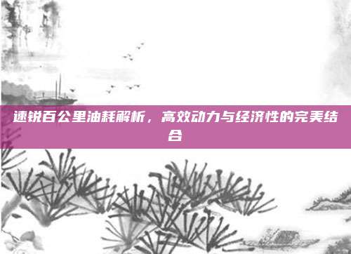 速锐百公里油耗解析，高效动力与经济性的完美结合