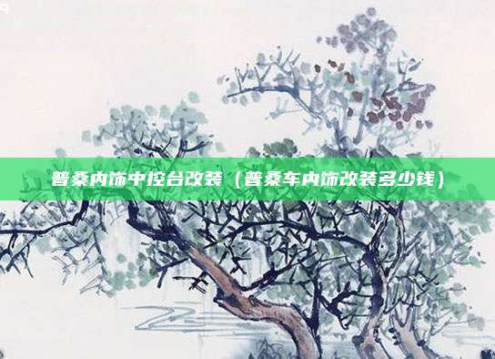 普桑内饰中控台改装（普桑车内饰改装多少钱）