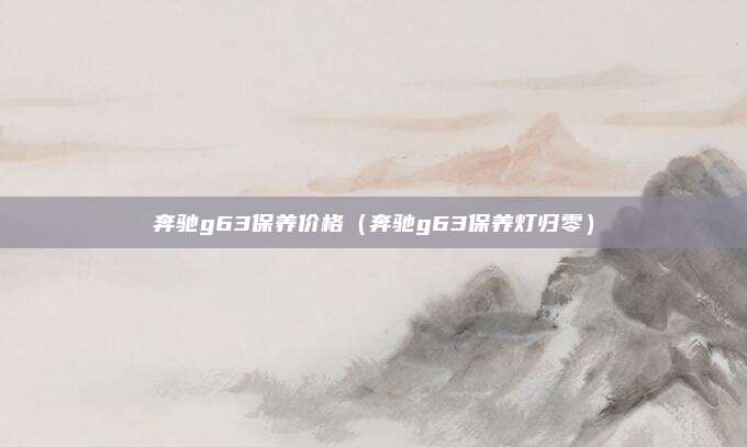 奔驰g63保养价格（奔驰g63保养灯归零）