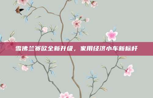 雪佛兰赛欧全新升级，家用经济小车新标杆