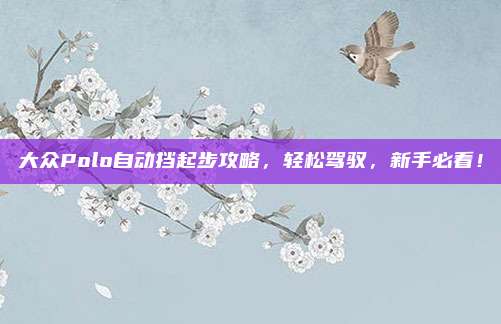 大众Polo自动挡起步攻略，轻松驾驭，新手必看！