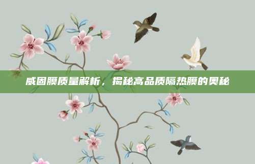 威固膜质量解析，揭秘高品质隔热膜的奥秘