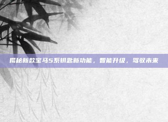 揭秘新款宝马5系钥匙新功能，智能升级，驾驭未来