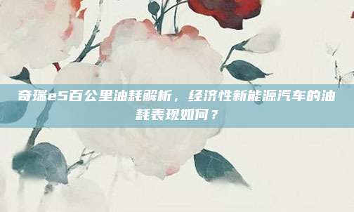 奇瑞e5百公里油耗解析,经济性新能源汽车的油耗表现如何?
