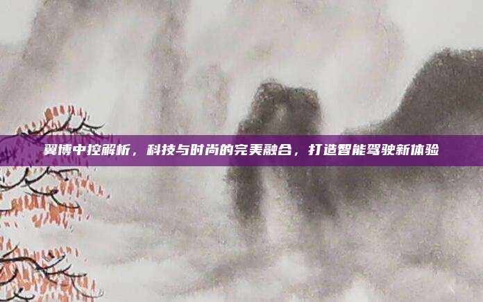 翼博中控解析,科技与时尚的完美融合,打造智能驾驶新体验
