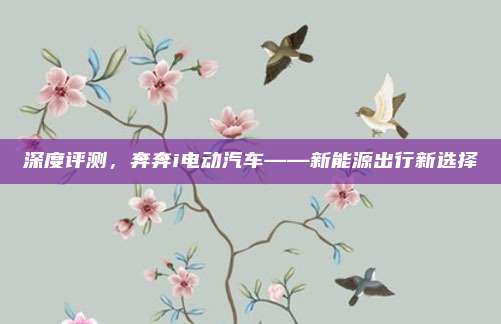 深度评测，奔奔i电动汽车——新能源出行新选择
