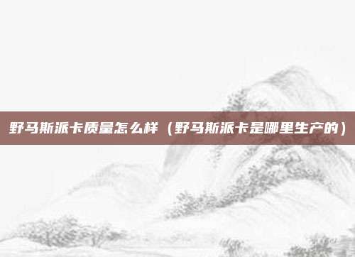 野马斯派卡质量怎么样（野马斯派卡是哪里生产的）