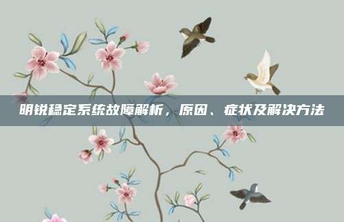 明锐稳定系统故障解析,原因、症状及解决方法