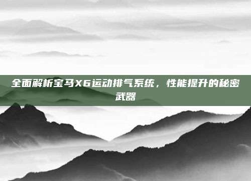 全面解析宝马X6运动排气系统，性能提升的秘密武器
