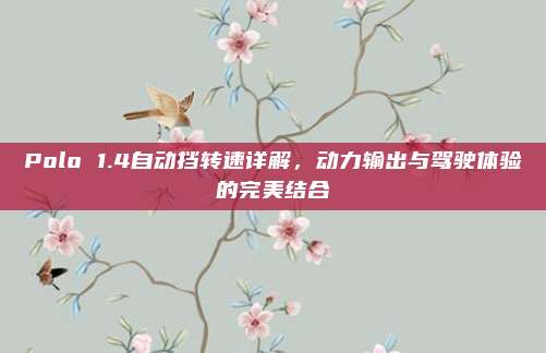 Polo 1.4自动挡转速详解，动力输出与驾驶体验的完美结合