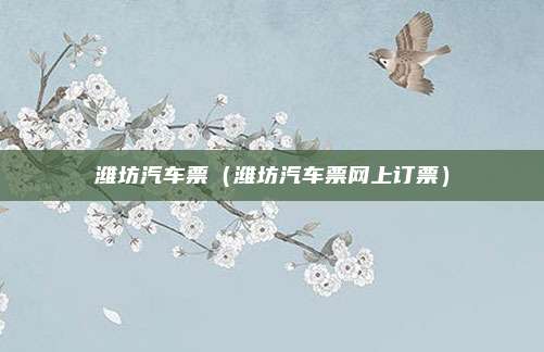潍坊汽车票(潍坊汽车票网上订票)