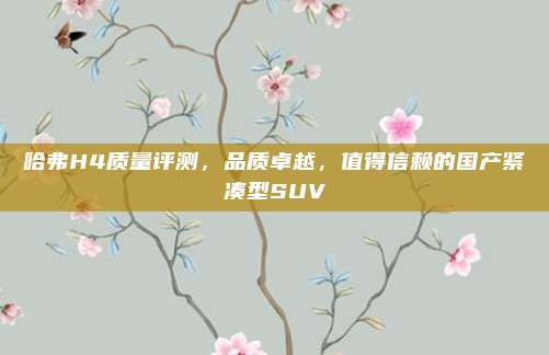 哈弗H4质量评测,品质卓越,值得信赖的国产紧凑型SUV