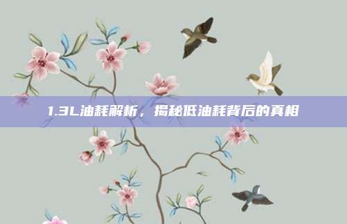 1.3L油耗解析，揭秘低油耗背后的真相