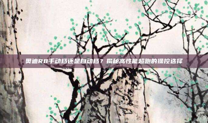 奥迪R8手动档还是自动档?揭秘高性能超跑的操控选择