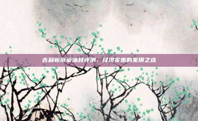 吉利新帝豪油耗评测,经济实惠的家用之选