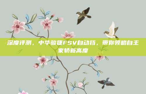 深度评测,中华骏捷FSV自动挡,带你领略自主家轿新高度