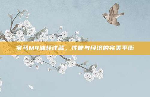 宝马M4油耗详解,性能与经济的完美平衡