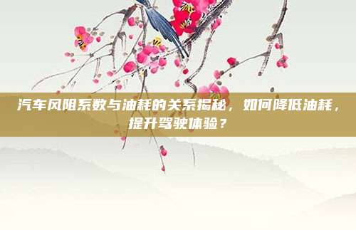 汽车风阻系数与油耗的关系揭秘,如何降低油耗,提升驾驶体验?