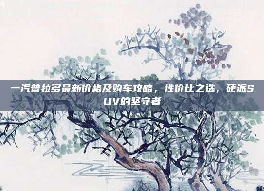 一汽普拉多最新价格及购车攻略，性价比之选，硬派SUV的坚守者