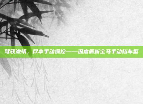 驾驭激情，尽享手动操控——深度解析宝马手动档车型